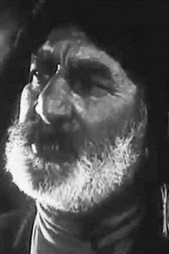 Заал Теришвили