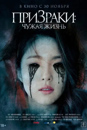 Призраки: Чужая жизнь — постер