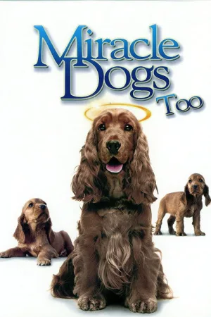 Miracle Dogs Too — постер