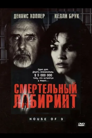 Смертельный лабиринт — постер