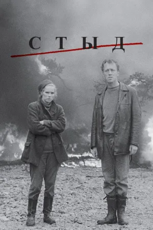 Стыд — постер