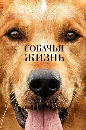 Собачья жизнь — постер