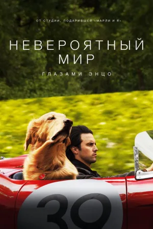 Невероятный мир глазами Энцо — постер