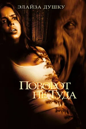 Поворот не туда — постер