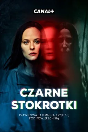 Czarne Stokrotki — постер