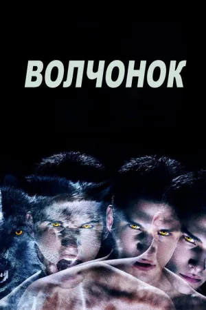Волчонок — постер