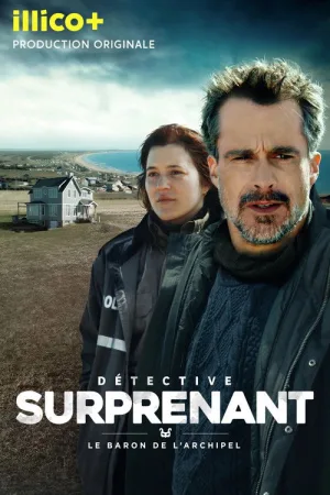 Детектив Сюрпренан — постер