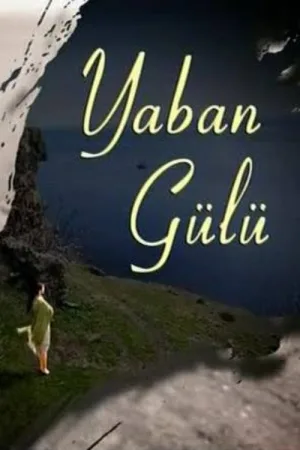 Yaban Gülü — постер