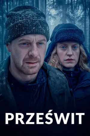 Просвет — постер