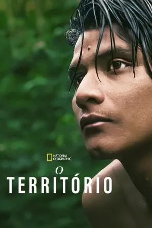The Territory — постер