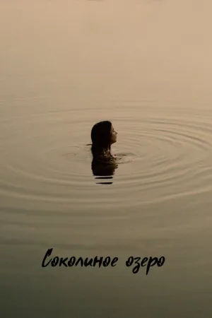 Соколиное озеро — постер
