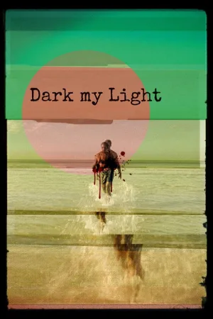 Dark My Light — постер
