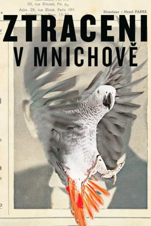 Потерянные в Мюнхене — постер