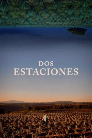 Dos estaciones — постер