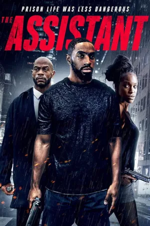 The Assistant — постер