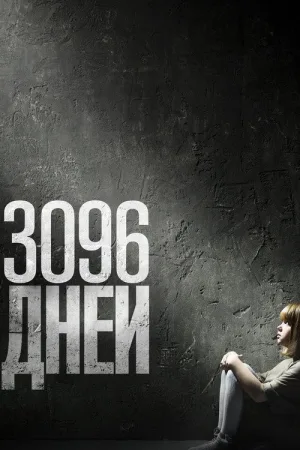 3096 дней — постер