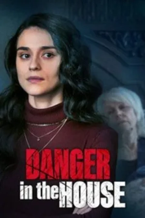 Danger in the House — постер