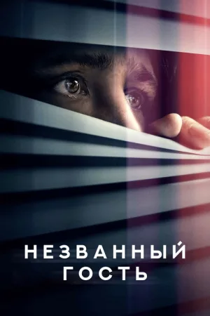 Незваный гость — постер
