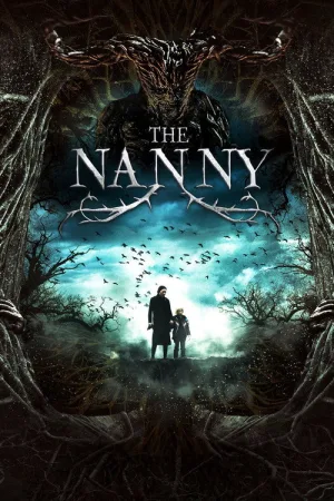 The Nanny — постер