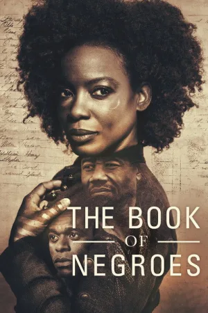 The Book of Negroes — постер