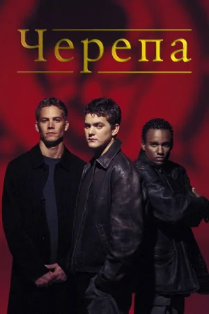 Черепа — постер