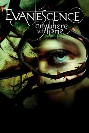 Evanescence: Anywhere But Home — постер