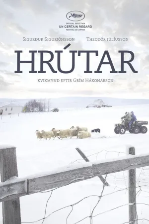 Бараны — постер
