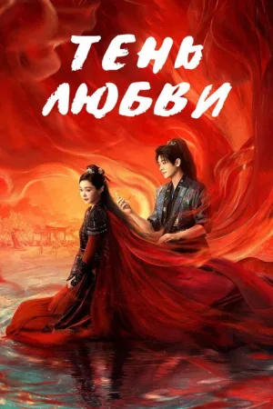 Тень любви — постер