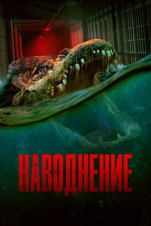 Наводнение — постер