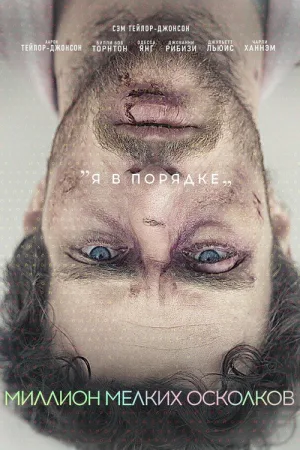 Миллион мелких осколков — постер
