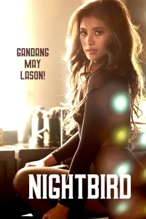 Nightbird — постер