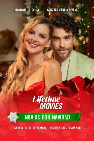 Novios por Navidad — постер