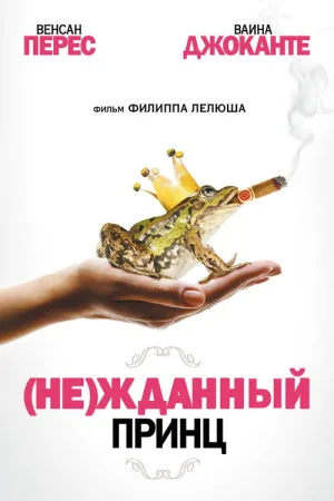 (Не)жданный принц — постер