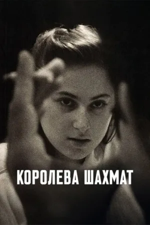 Королева шахмат — постер