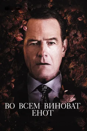 Во всём виноват енот — постер