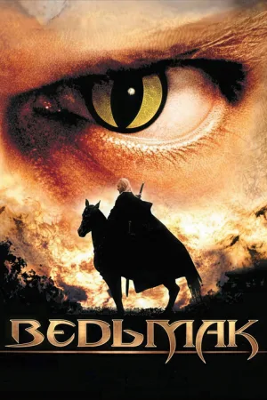 Ведьмак — постер