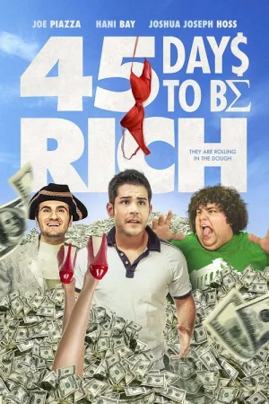 45 Days to Be Rich — постер