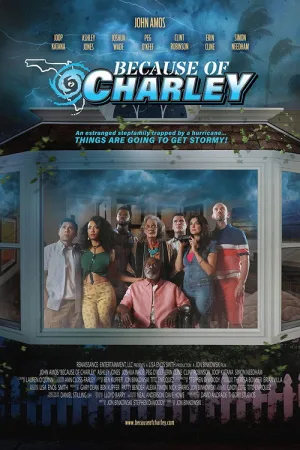 Because of Charley — постер