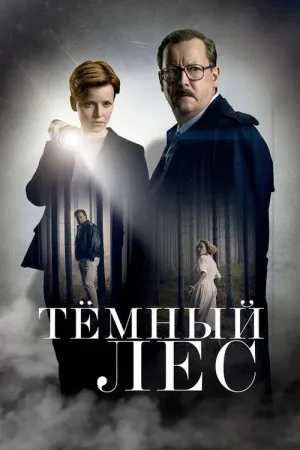 Тёмный лес — постер
