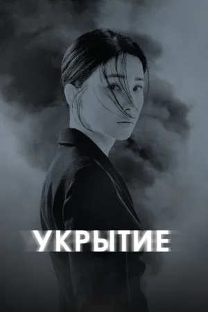 Укрытие — постер