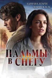 Пальмы в снегу — постер