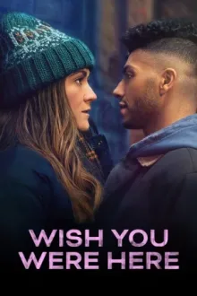 Wish You Were Here — постер