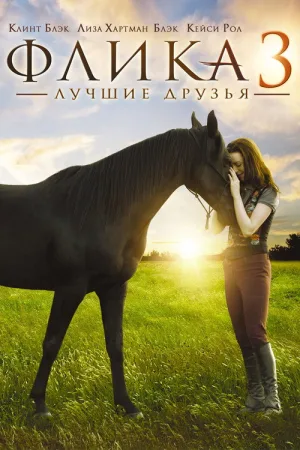 Флика 3 — постер
