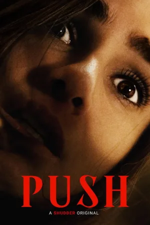 Push — постер