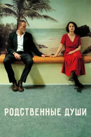 Родственные души — постер