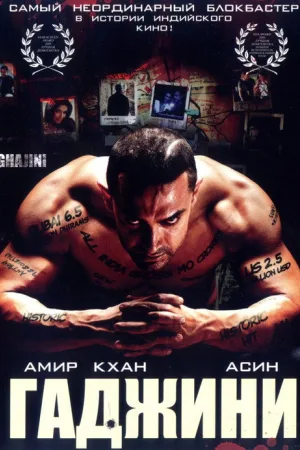 Гаджини — постер