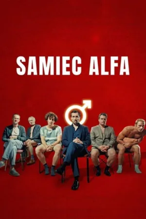 Samiec alfa — постер