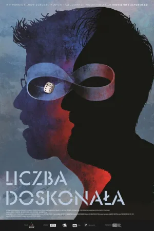 Liczba doskonała — постер
