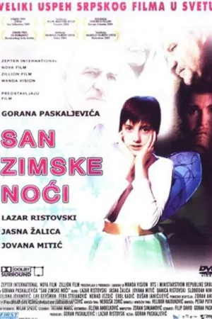 Сон в зимнюю ночь — постер