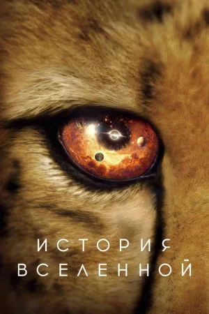 История Вселенной — постер